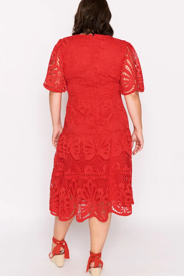 Lorraine Designs Cocktail Dresses | Bridesmaid Dresses*Nicolla Red Lace Dress